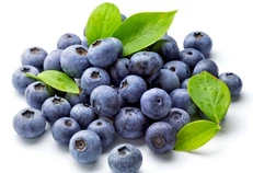 xmsd frozen blueberry xmsd frozen blueberry