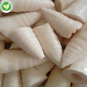 통조림 죽순 조각