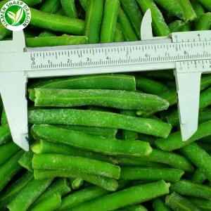 냉동 컷 녹두