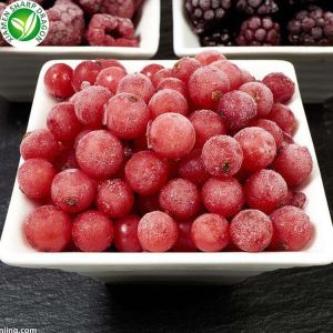 도매 냉동 Lingonberry