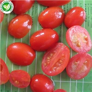 세 가지 형태의 IQF 냉동 체리 토마토