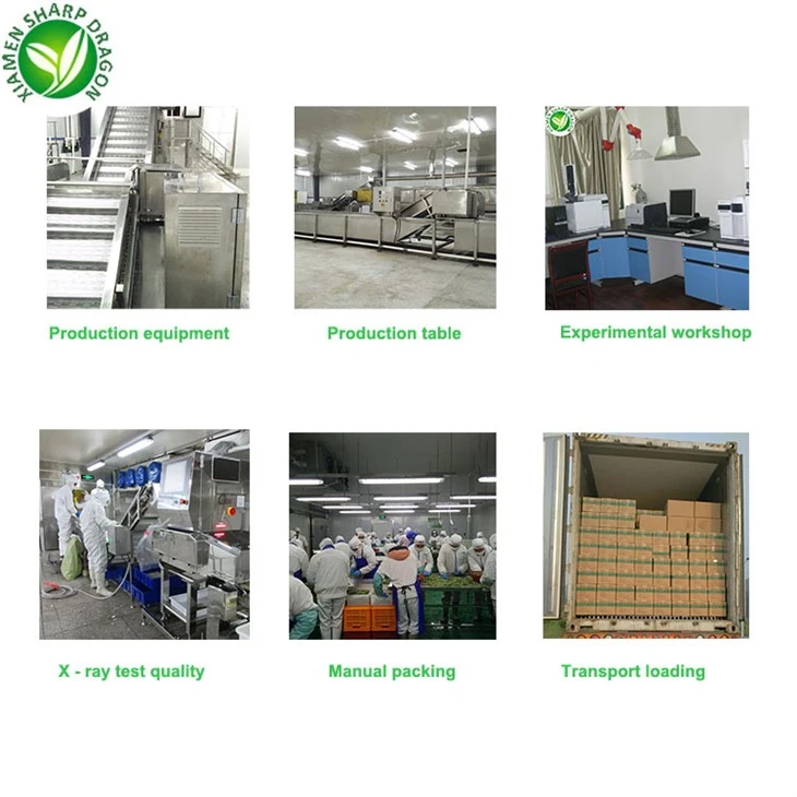 Wholesale Sweet Corn
